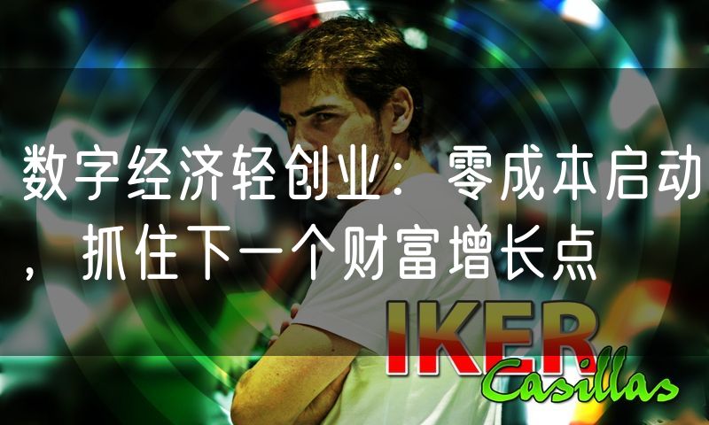 数字经济轻创业:零成本启动,抓住下一个财富增长点