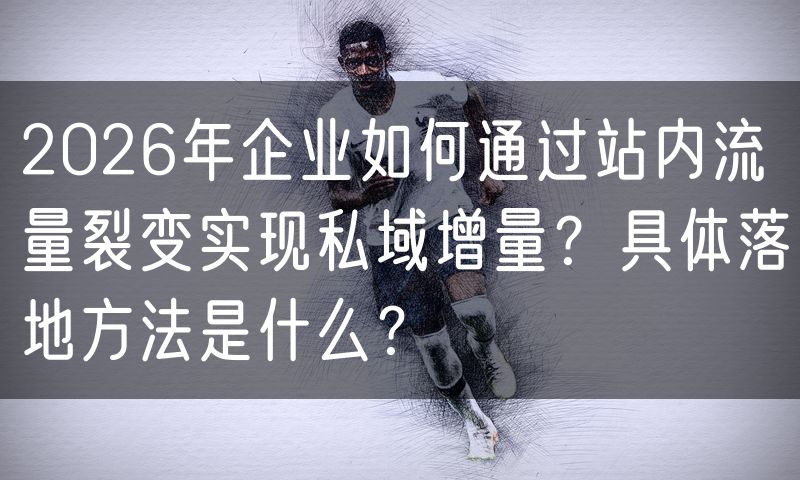 2026年企业如何通过站内流量裂变实现私域增量？具体落地方法是什么？