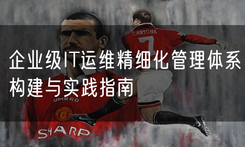 企业级IT运维精细化管理体系构建与实践指南