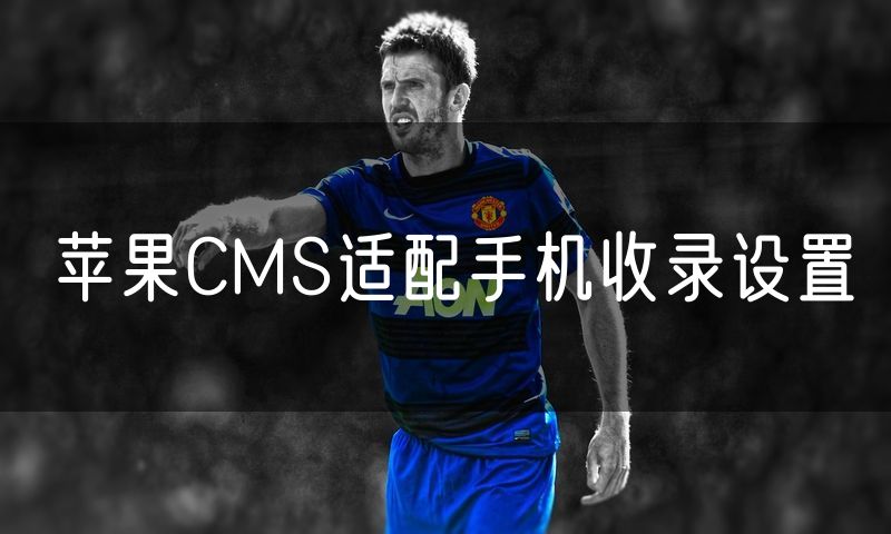 苹果CMS适配手机收录设置