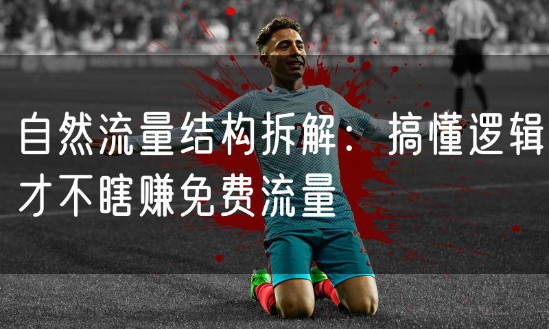 自然流量结构拆解:搞懂逻辑才不瞎赚免费流量